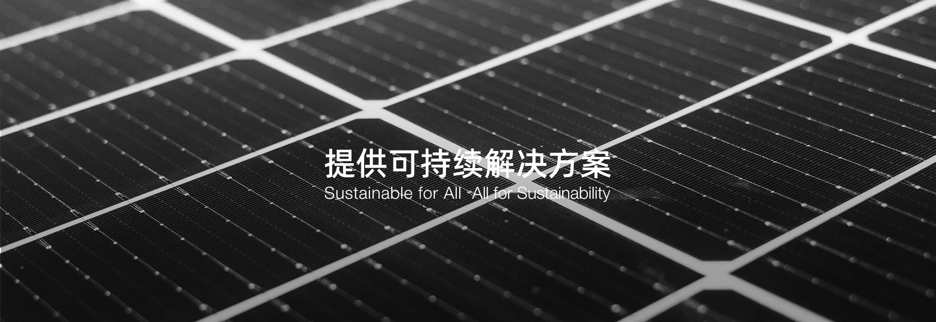 喜窝网络能源控股有限公司